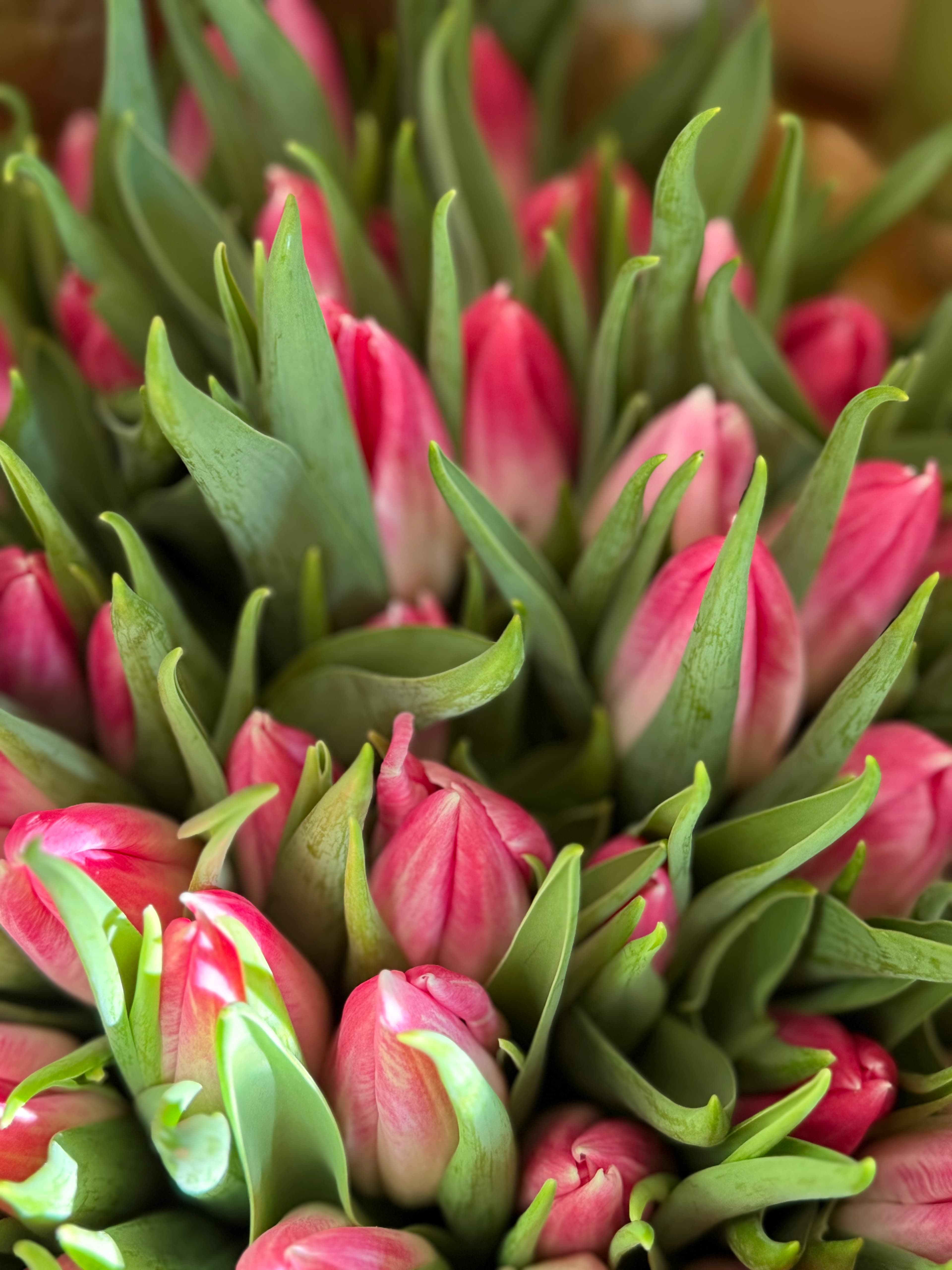 Esam atvērti! Svini pavasari ar ziediem 🌸